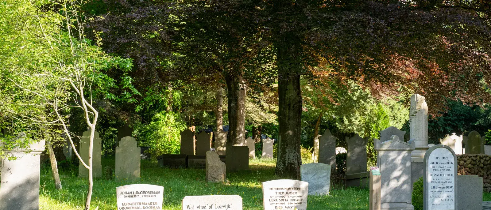 Grabsteine unter alten Bäumen auf einem Friedhof